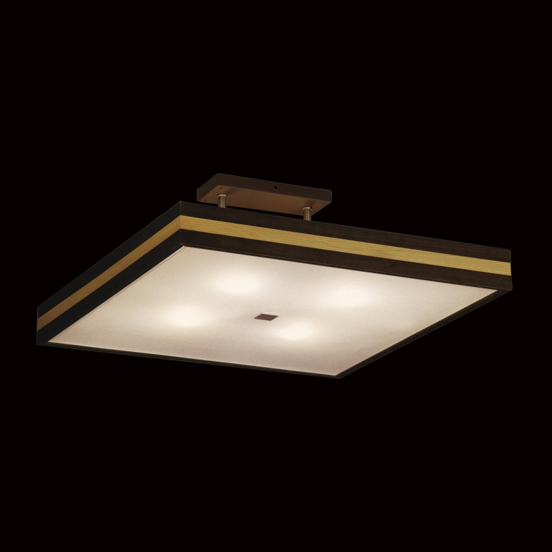 Накладной светильник Citilux CL940521