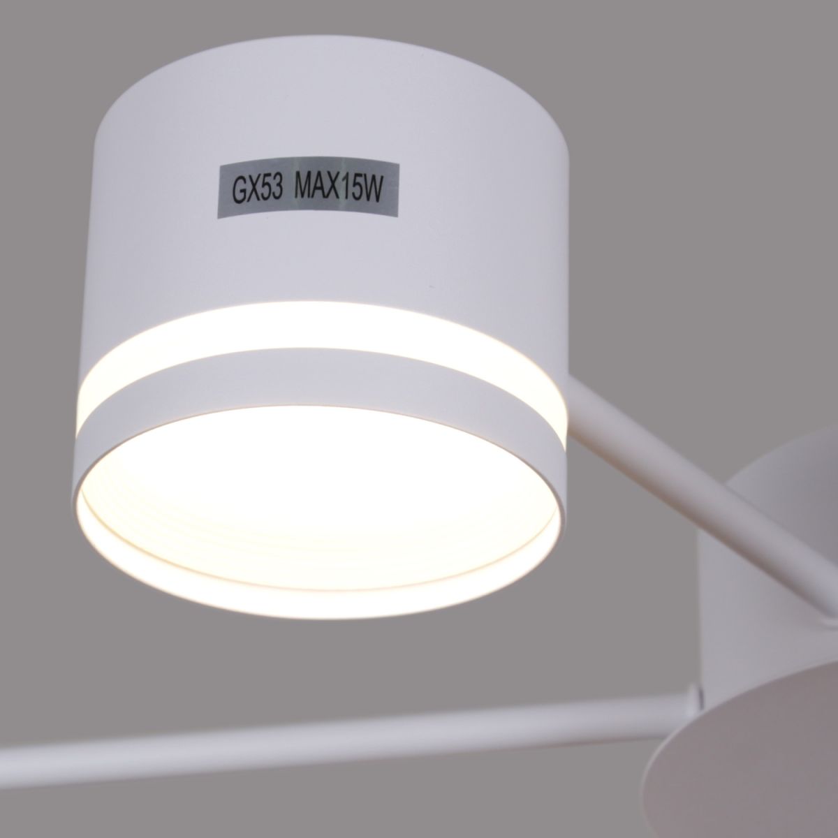 Потолочная люстра Reluce 06730-0.3-06 GX53 WT