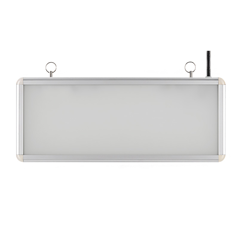 Аварийный светодиодный светильник Wolta WEL-1W/02-С