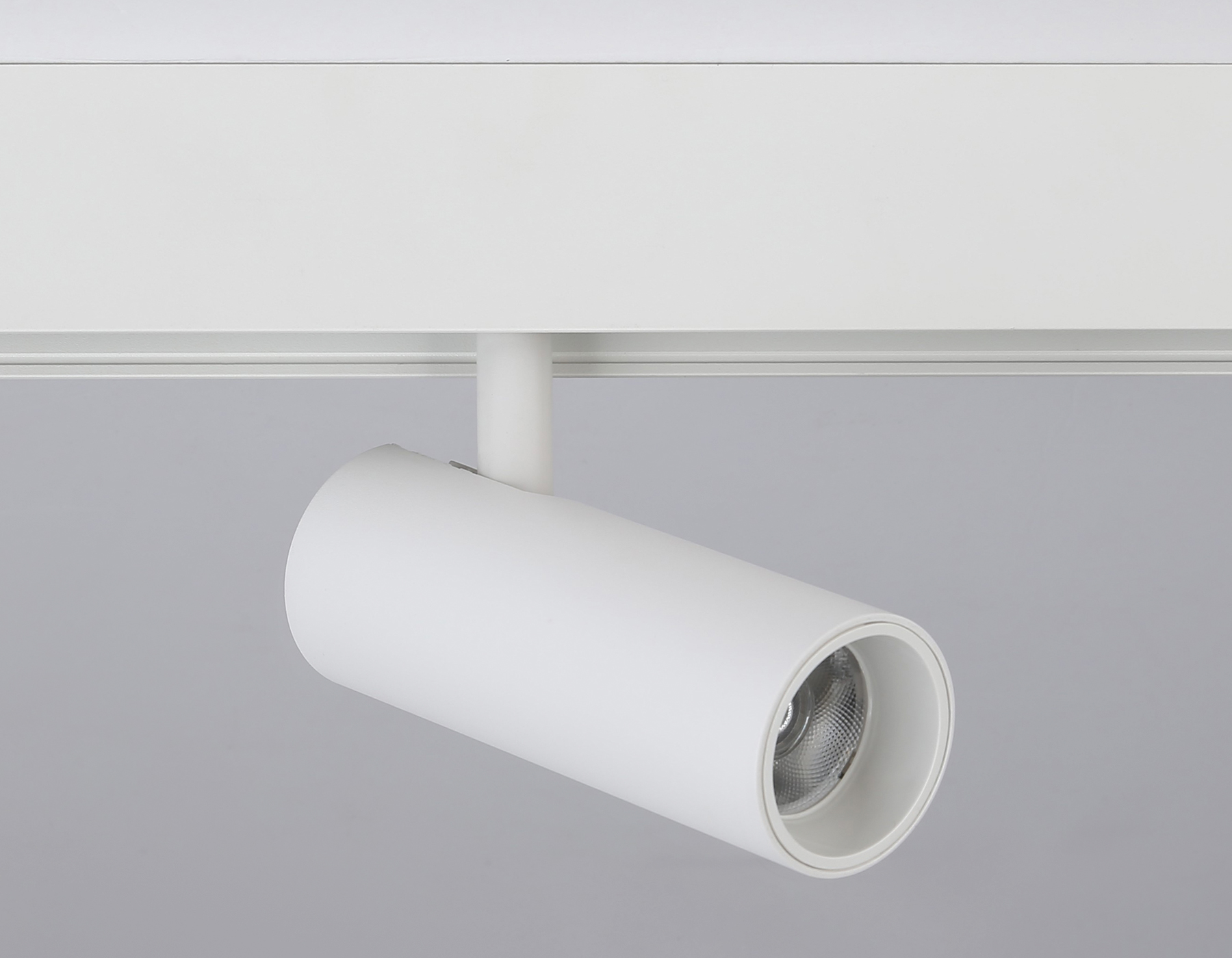 Трековый светильник Ambrella Light Track System GL3819