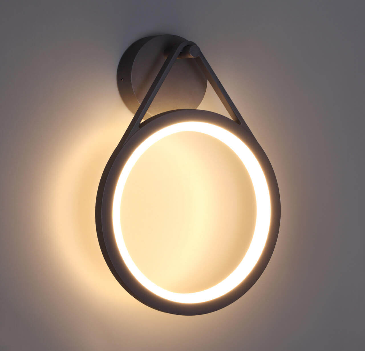 Уличный настенный светодиодный светильник Novotech Roca 358059