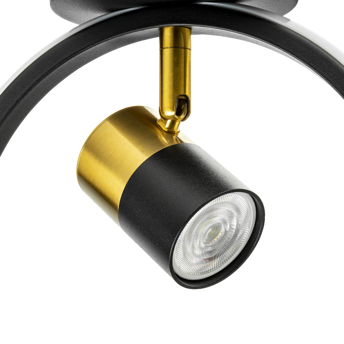 Потолочный светильник Ritter Lanterna 51597 9