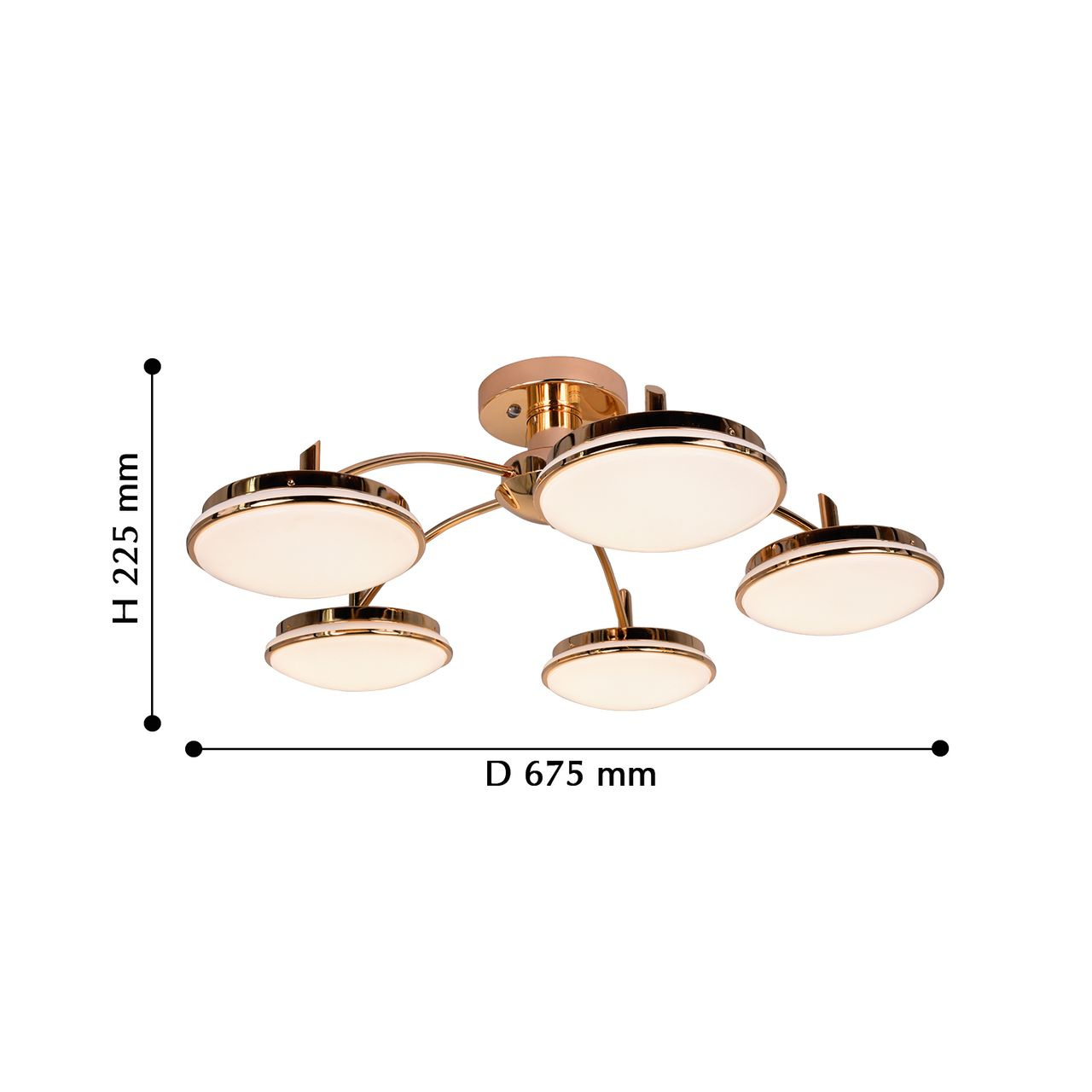 Потолочная светодиодная люстра F-Promo Ledante 2473-5P