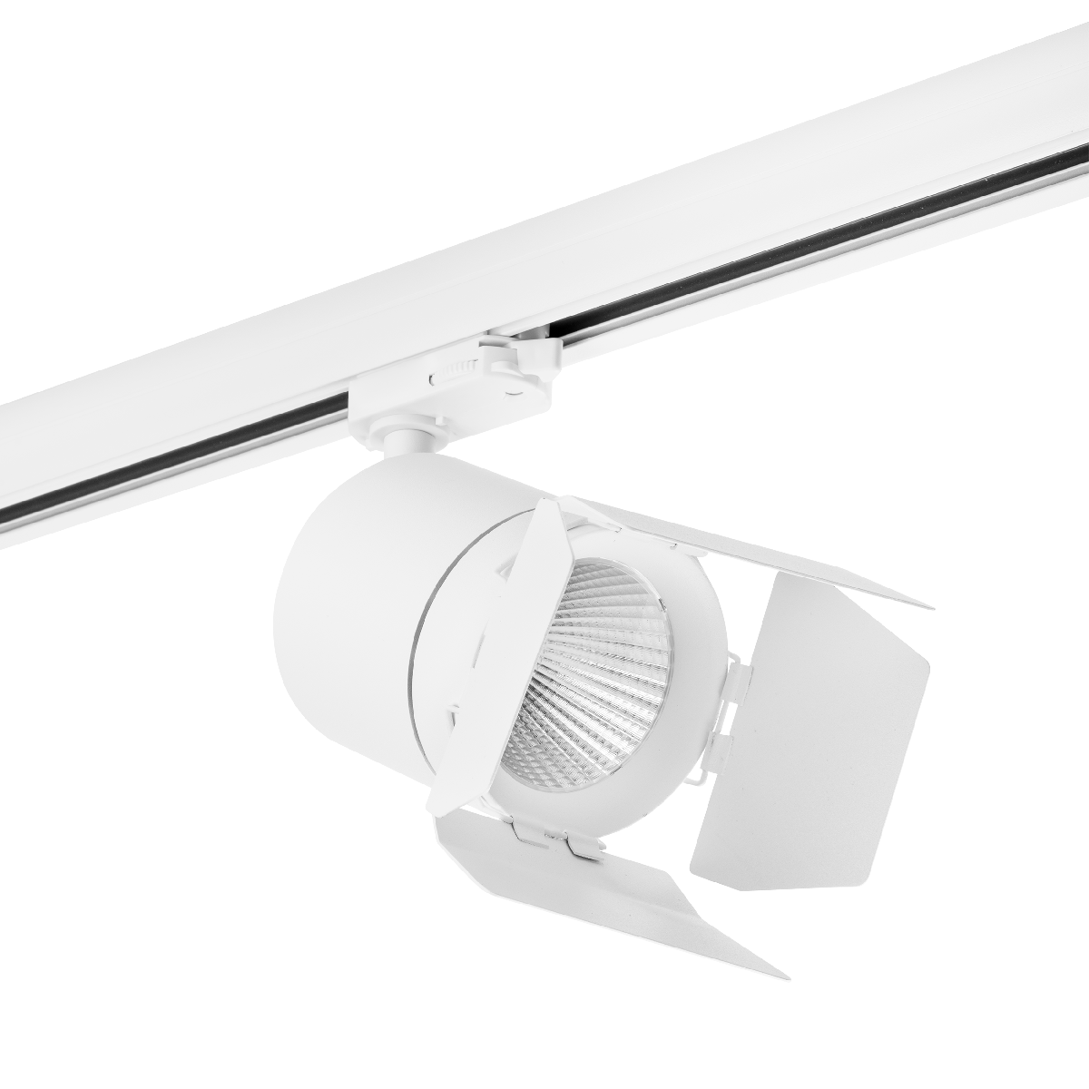 Трековый светильник Lightstar Canno LED (301562+202996) C156296