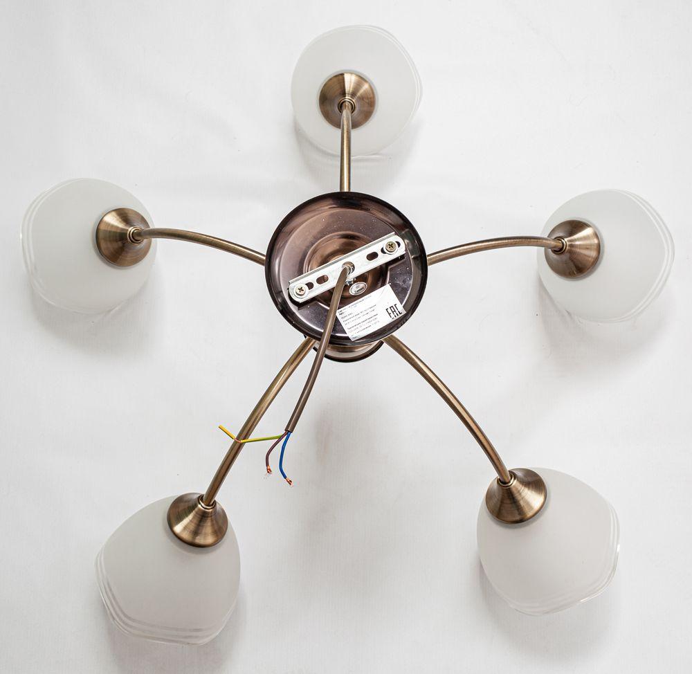 Потолочная люстра Escada 1101/5P