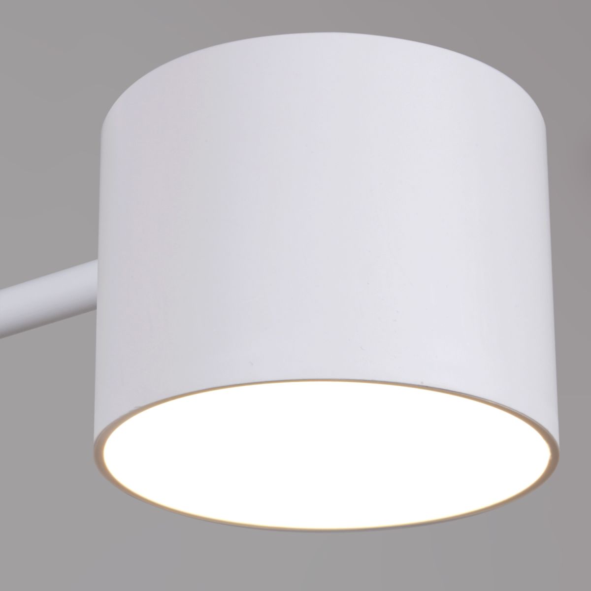 Люстра на штанге Reluce 47206-0.3-08WT