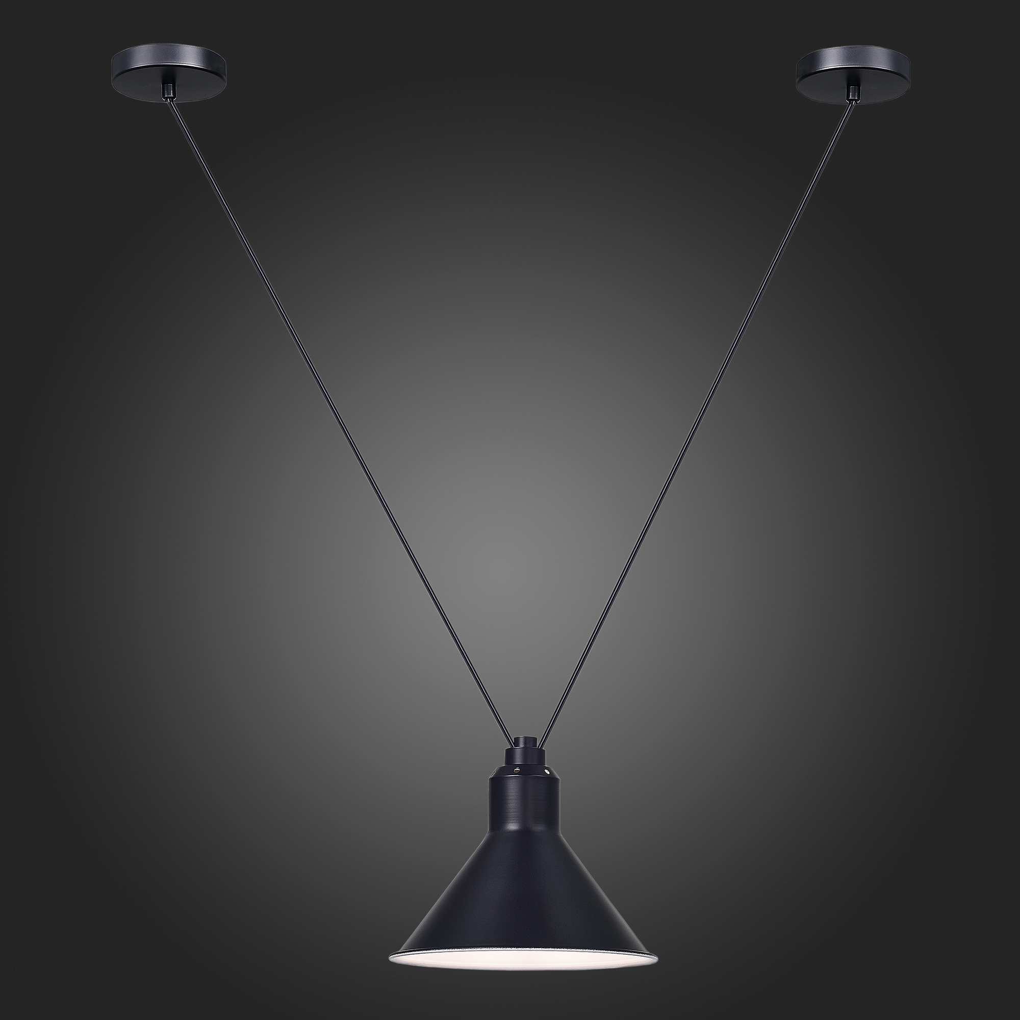 Подвесной светильник ST Luce Svevo SL1804.403.01