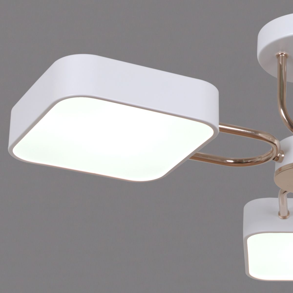 Потолочная люстра Reluce 03362-0.3-05 WH+FGD