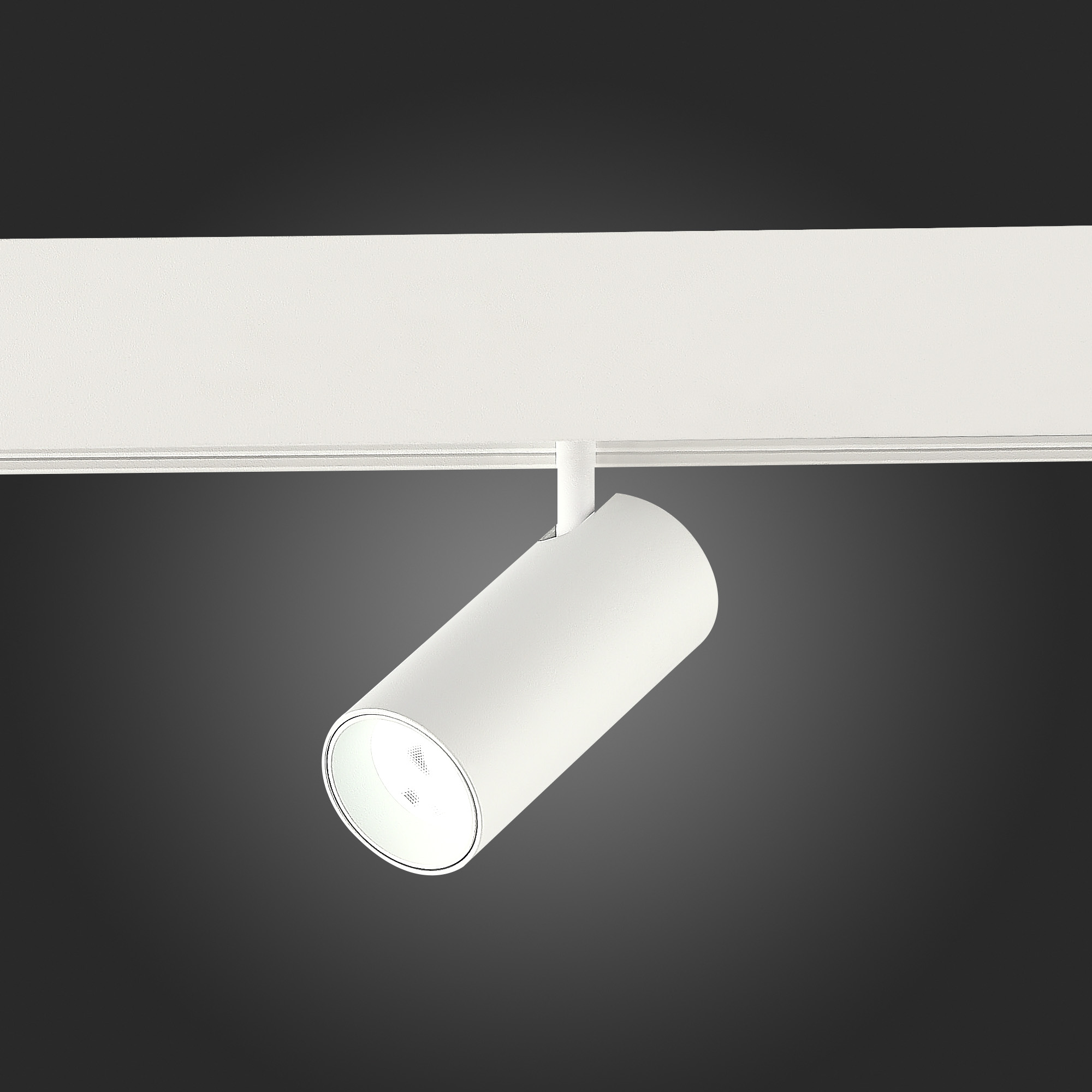 Трековый светильник ST Luce Skyline 48 ST375.506.07