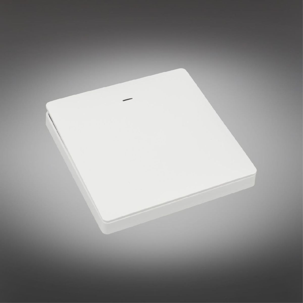 Выключатель одноклавишный Aployt Magnetic track 220 APL.0190.00.01