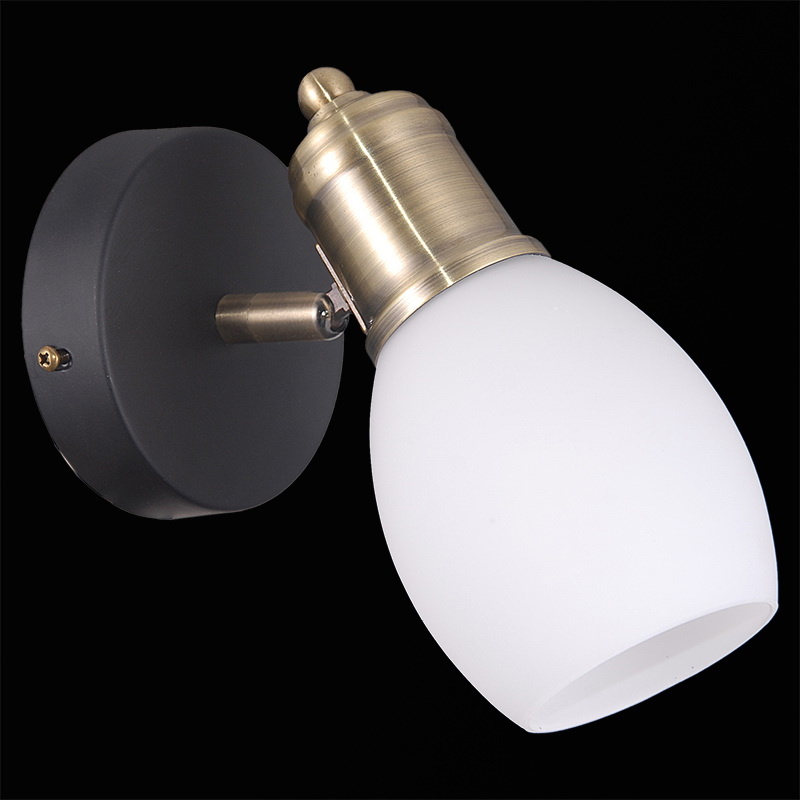 Спот Illumico IL9724-1WSQ-79 BK AB