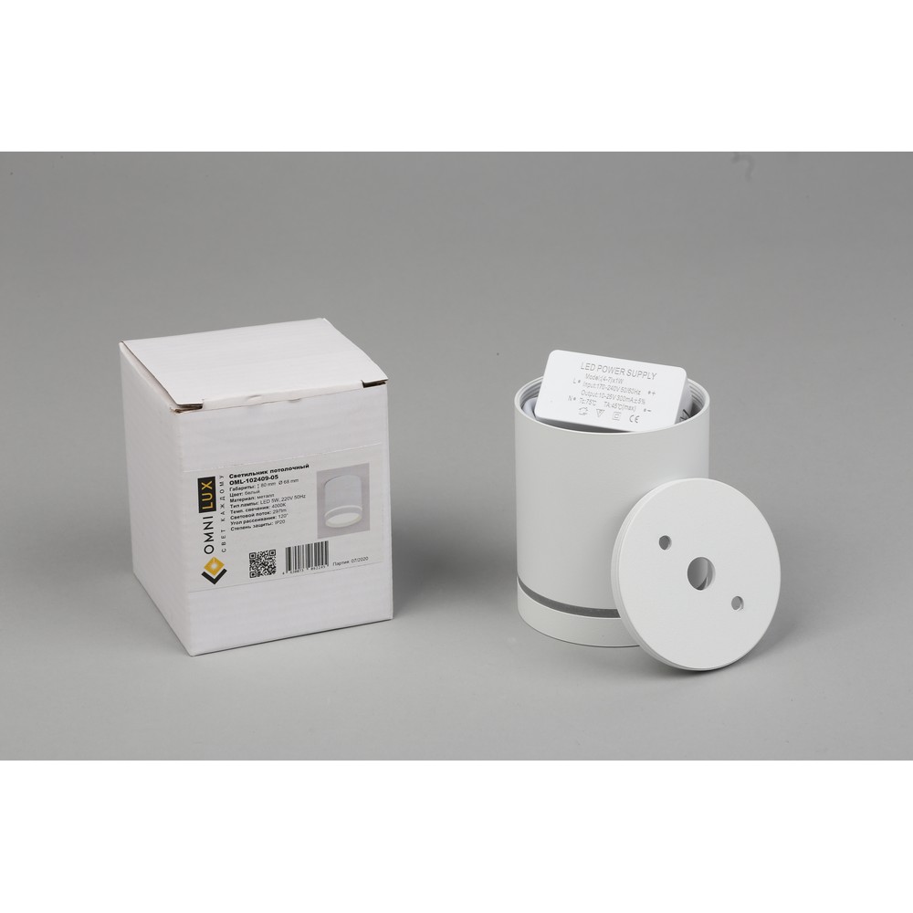 Накладной светильник Omnilux Capurso OML-102409-05