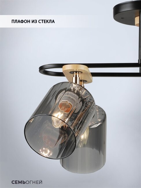 Спот Wedo Light Lana WD3608/6C-BK-SMK