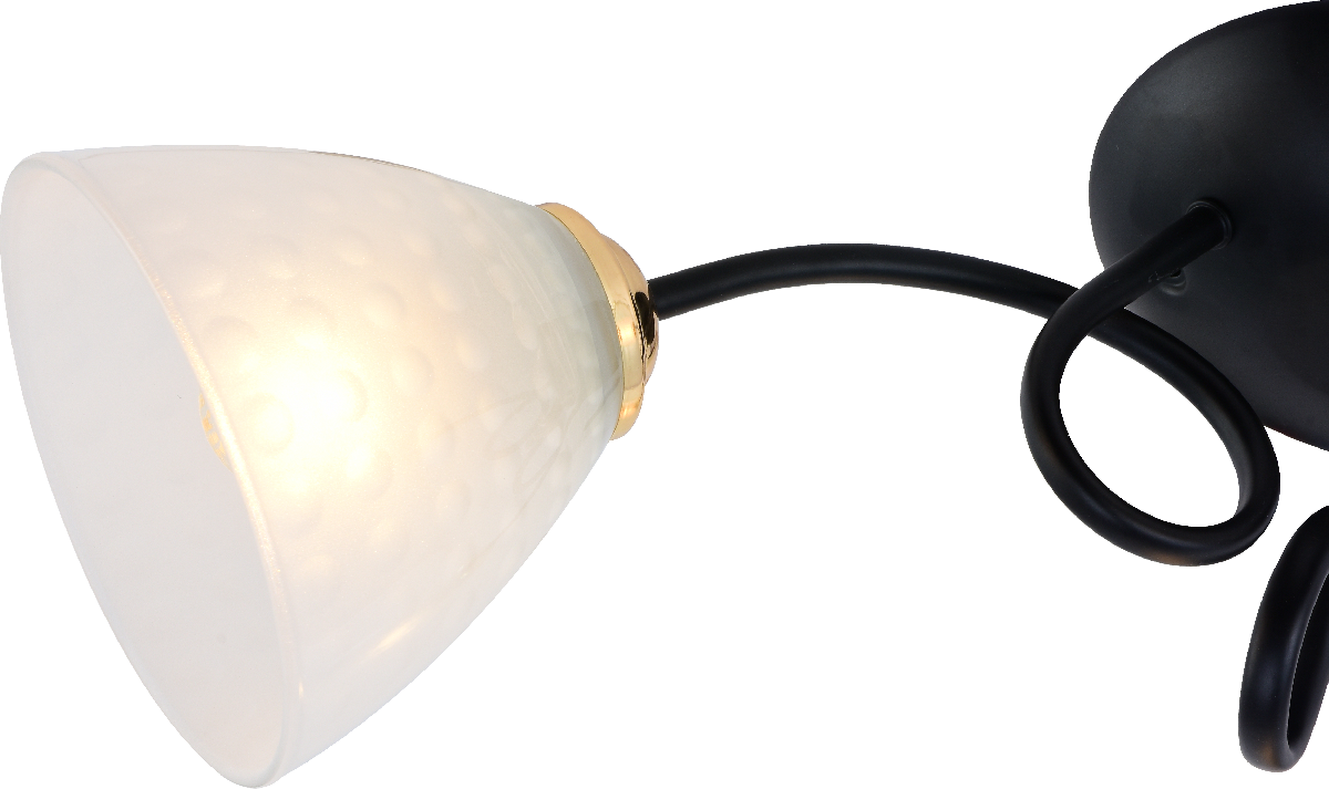 Потолочная люстра Rivoli Luiza 9140-303 Б0054903