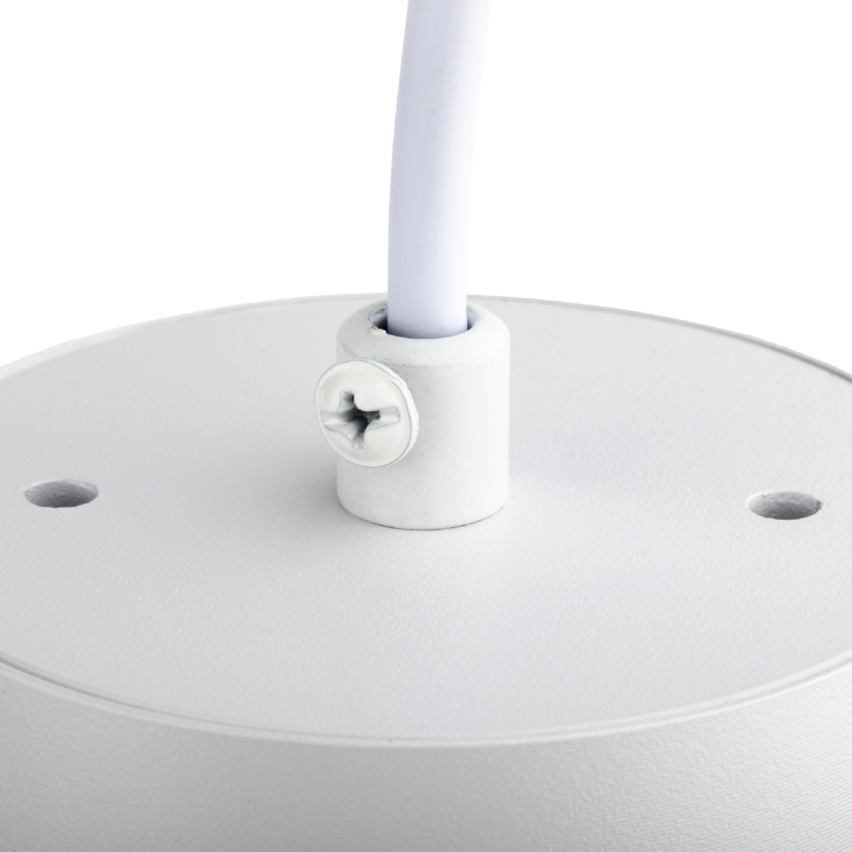 Подвесной светильник Ritter Arton 59982 1