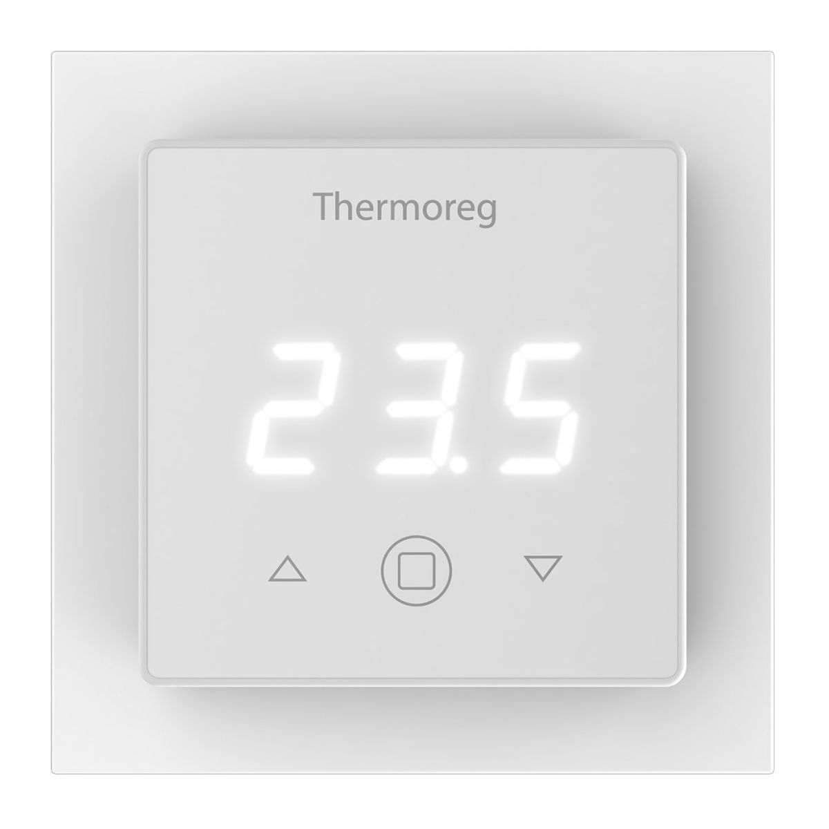 Терморегулятор Thermoreg TI-300