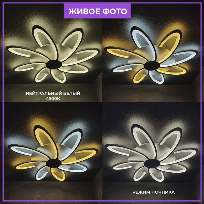 Потолочная люстра Wedo Light Kornelis 75407.01.09.08