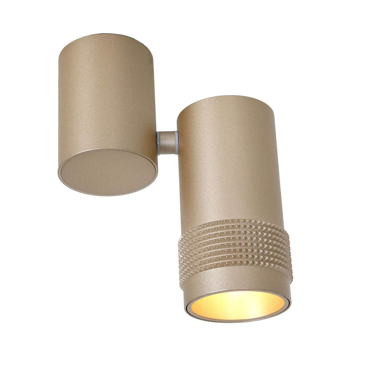 Спот Favourite Kinescope 2455-1U