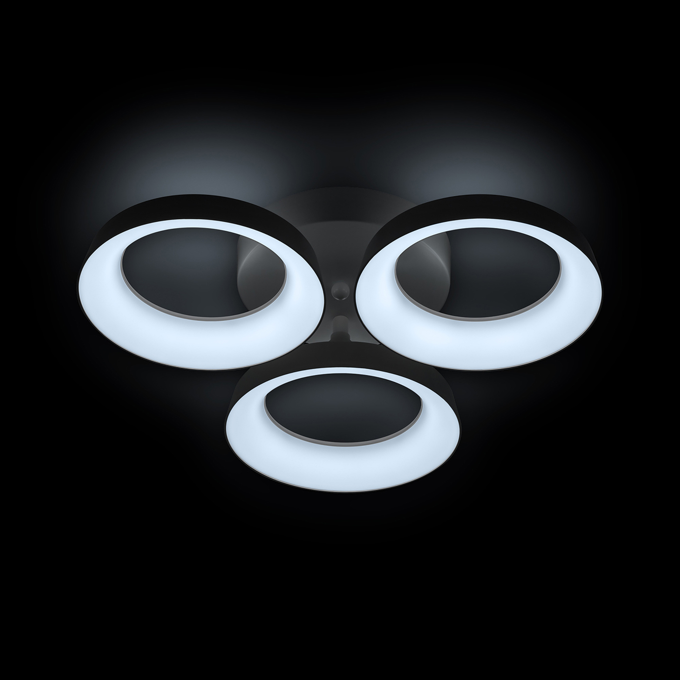 Потолочная люстра Ritter Verona 52012 2