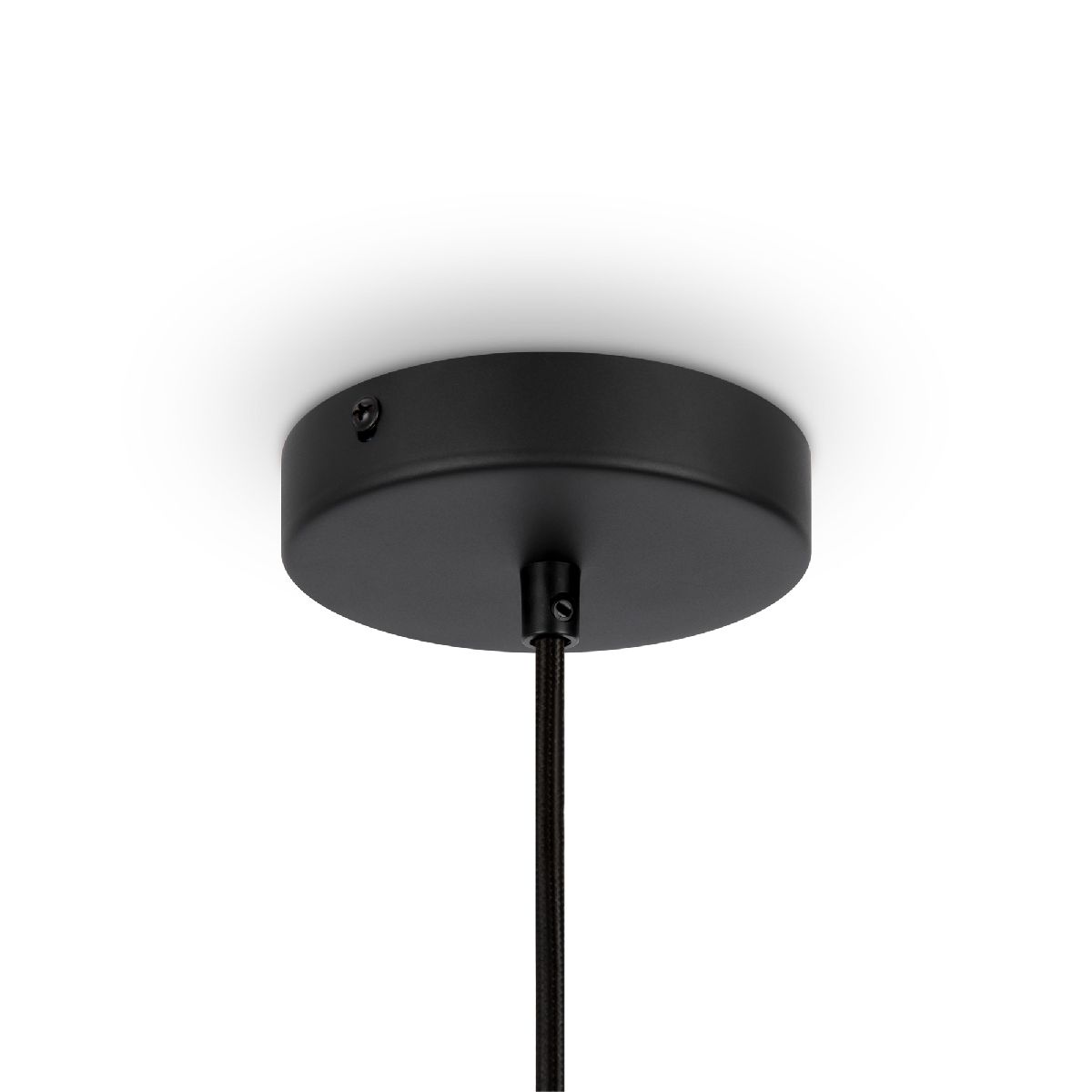 Подвесной светильник Maytoni Roots MOD191PL-01W