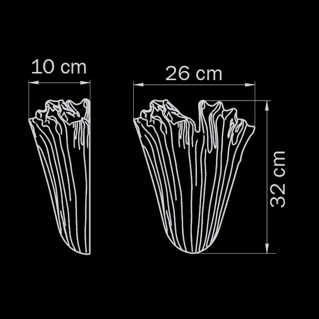 Настенный светильник Lightstar Murano 601610