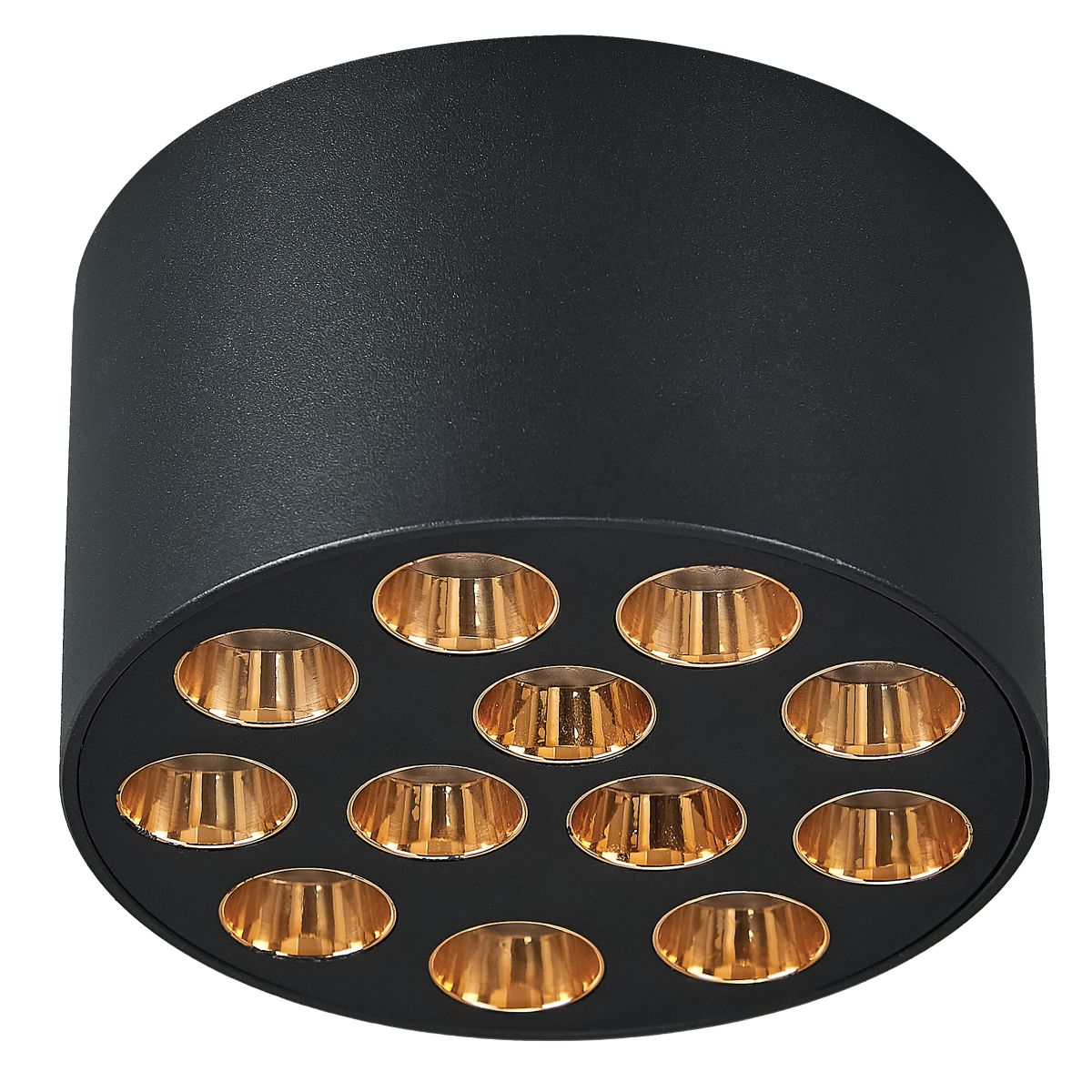 Потолочный светильник светодиодный круглый круглый Lightstar Guarda 080942