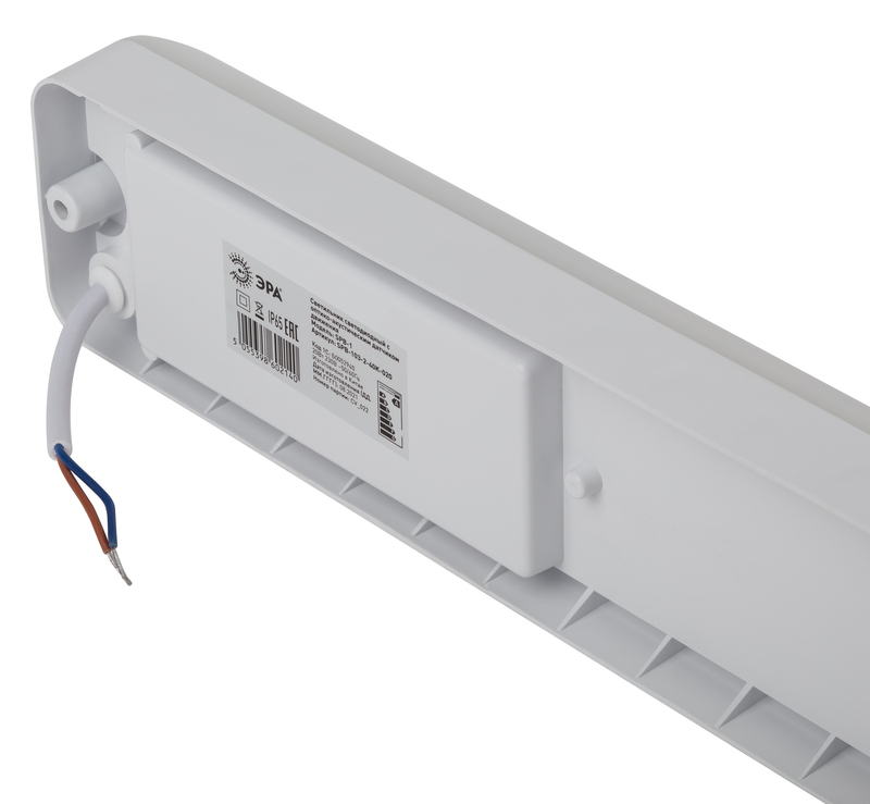 Настенно-потолочный светильник Эра SPB-103-2-40K-020 Б0052940