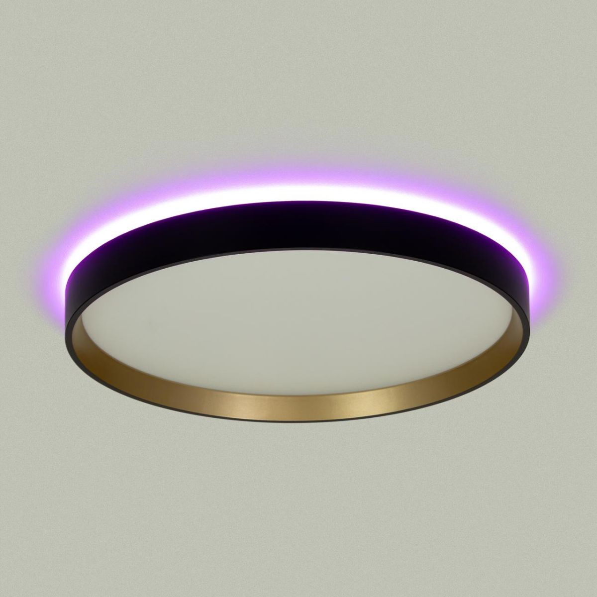 Потолочный светильник Citilux Etalon CL750321R