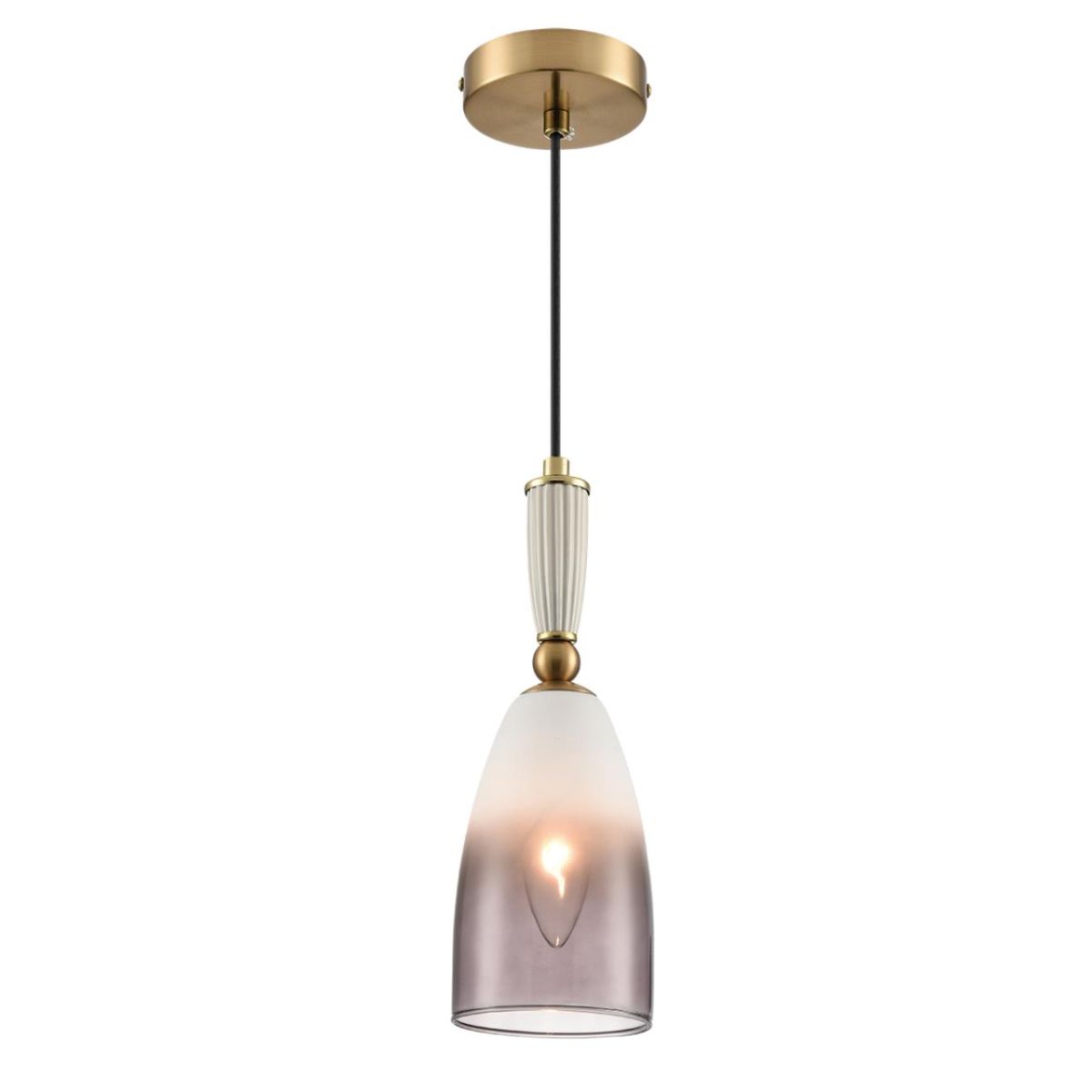 Подвесной светильник Lumion Suspentioni Derbi 8285/1A