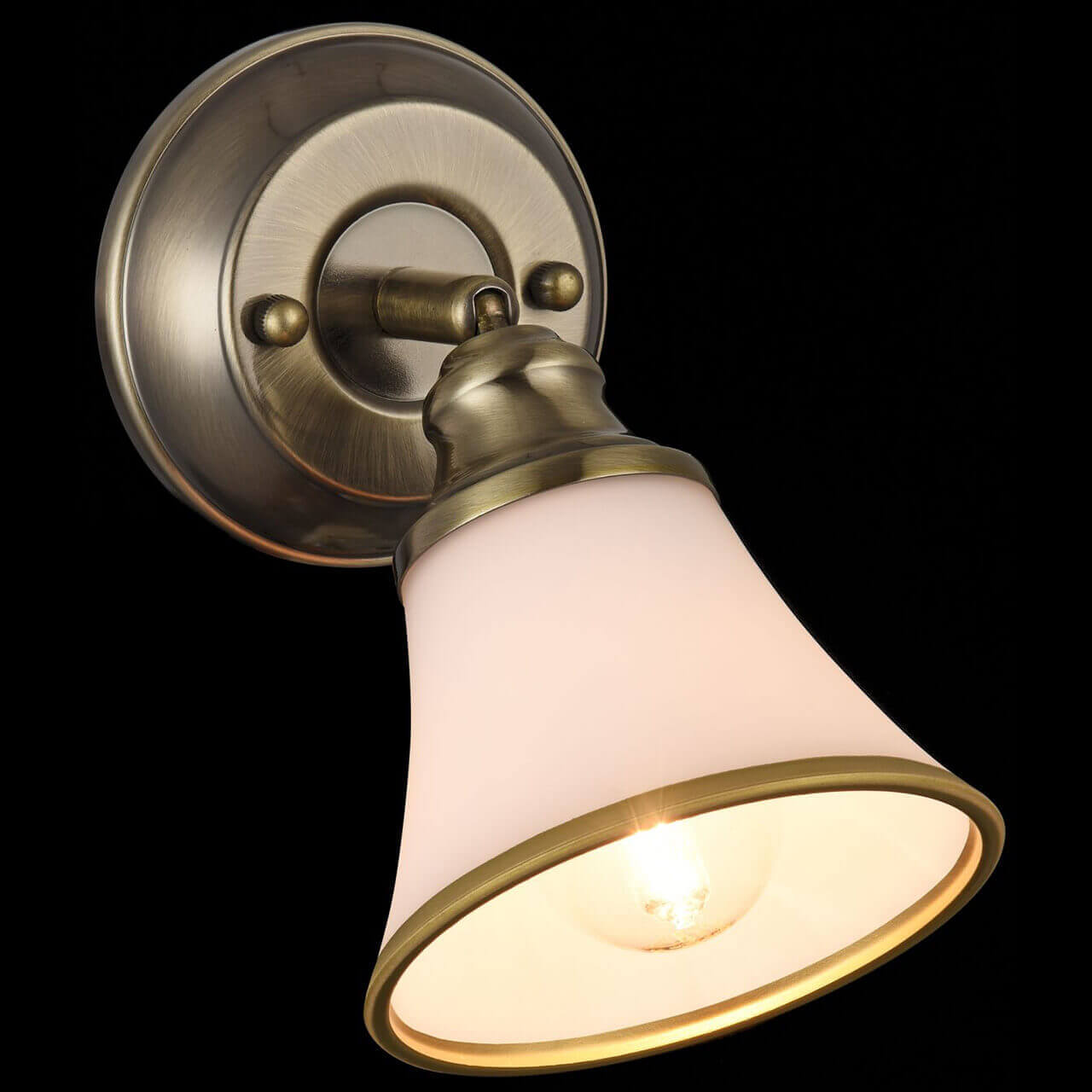 Спот Freya Jasinta FR2272-WL-01-BS в Москве