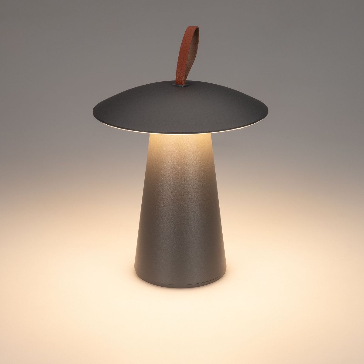 Уличная настольная лампа Arlight SP-PATIO-TAB-2W Warm3000 (BK, 127 deg) 043587