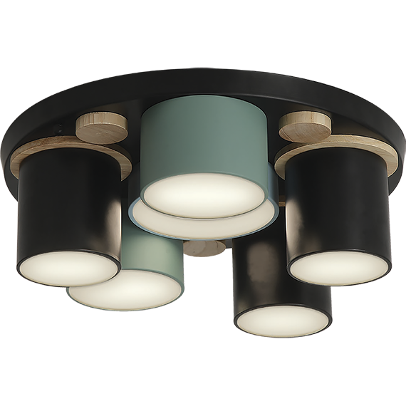 Потолочный светильник Ritter Scandia 52075 7