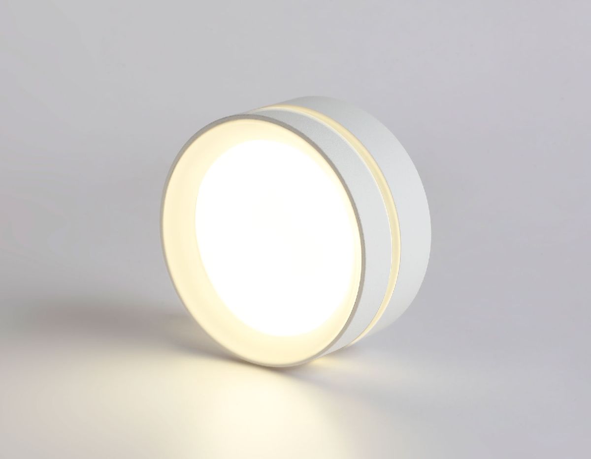 Накладной светильник Ambrella Light IP Protect TN5391