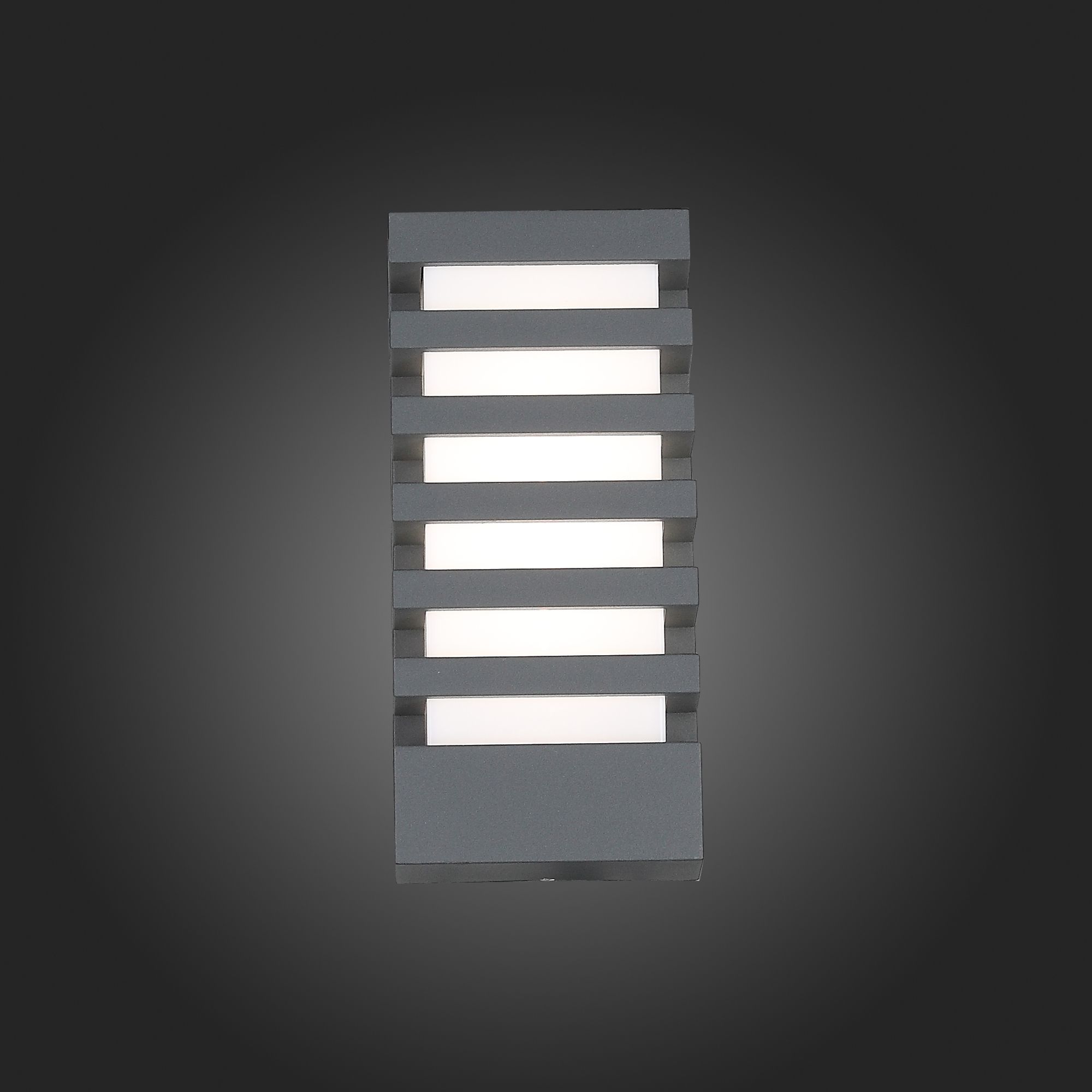 Уличный настенный светодиодный светильник ST Luce Vettore SL091.711.01