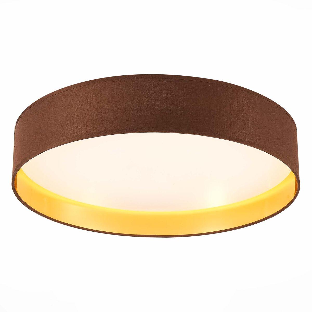 Потолочный светодиодный светильник Evoluce Brescia SLE300592-01