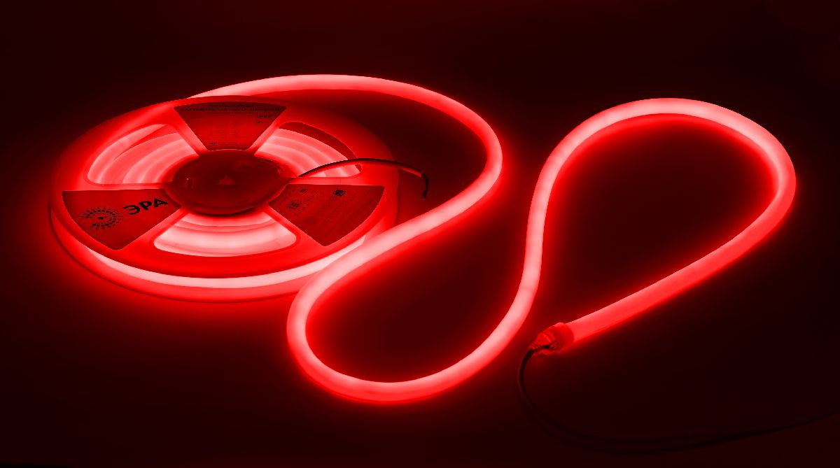 Светодиодная лента Эра LS3030-9,6-120-24-RGB-IP68-3 year-5m Б0062310