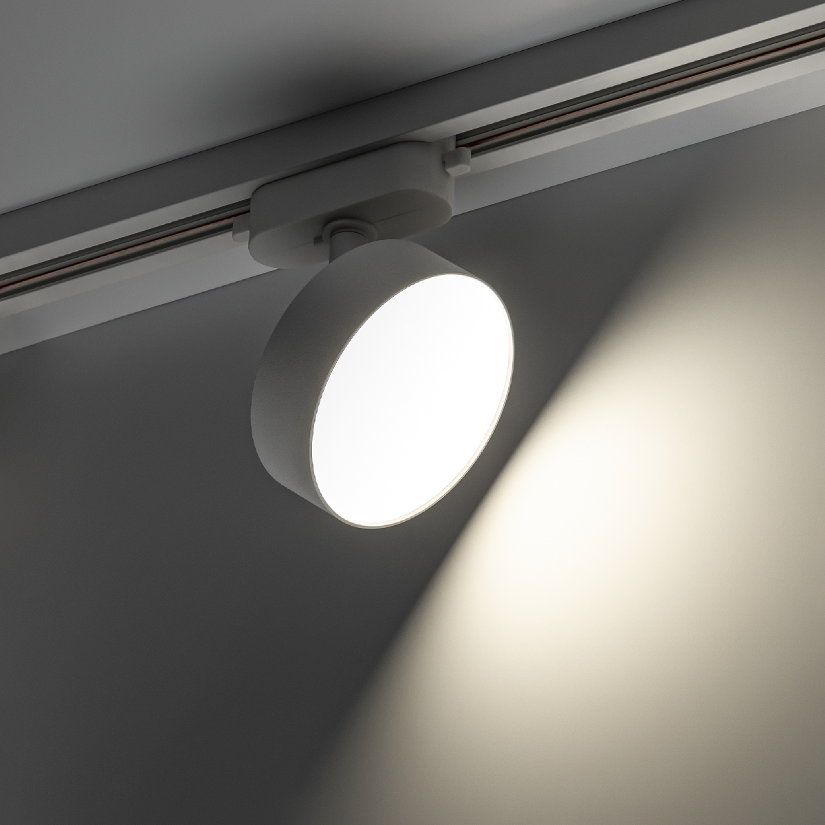 Трековый однофазный светильник Ritter Artline 59723 4