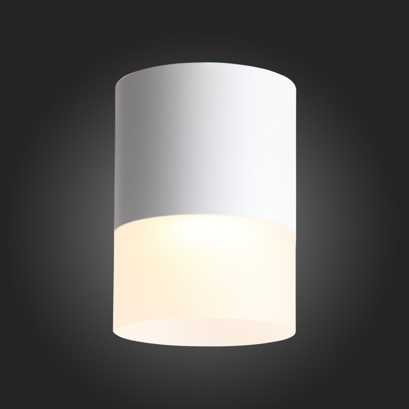 Накладной светильник ST Luce ST100.502.15