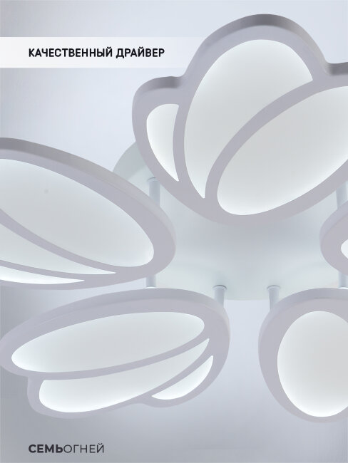 Потолочная люстра Seven Fires Nekolli SF5042/5C-WT