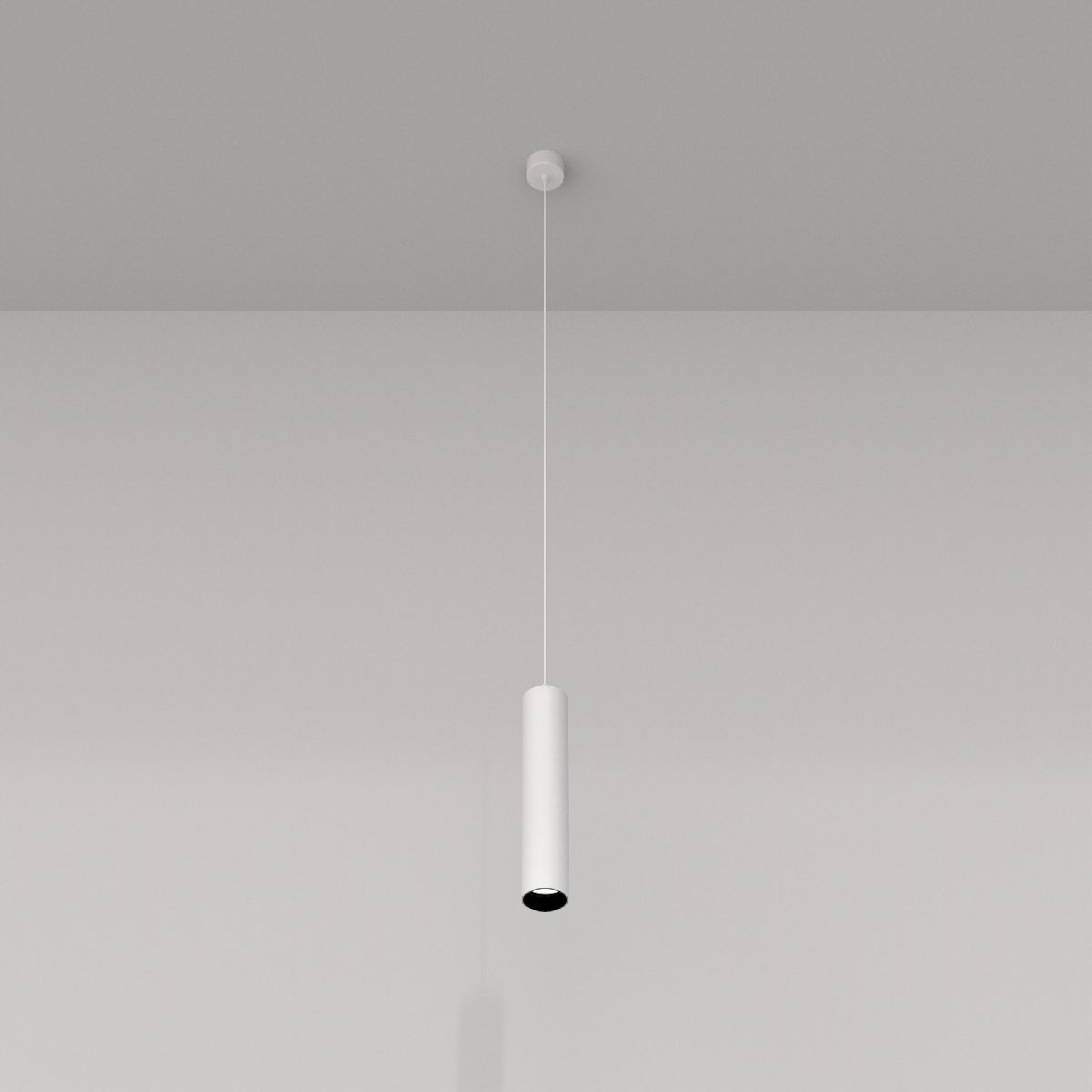 Подвесной светильник Maytoni Technical Focus P075PL-01W