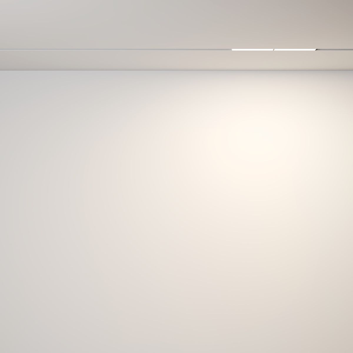 Трековый магнитный светильник Maytoni Parete TR106-2-12W3K-W