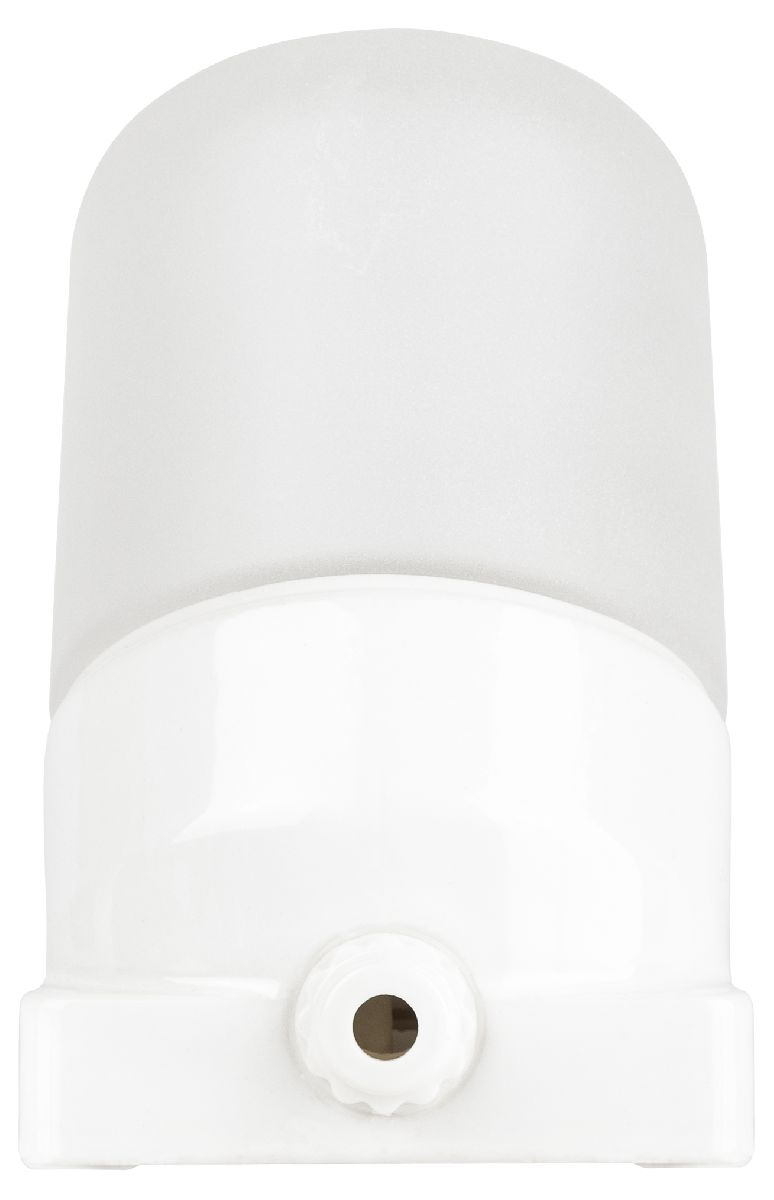 Настенно-потолочный светильник Эра НББ 02-60-002 Б0064018