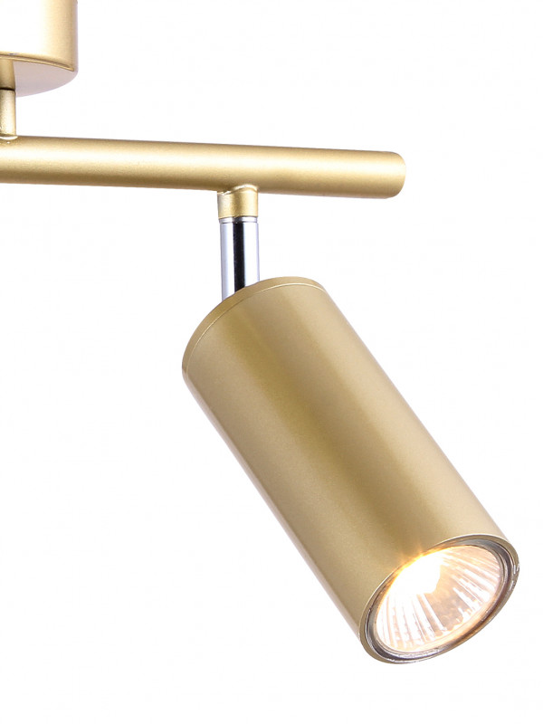 Спот Natali Kovaltseva TRINITY 76055/2W GOLD SATIN