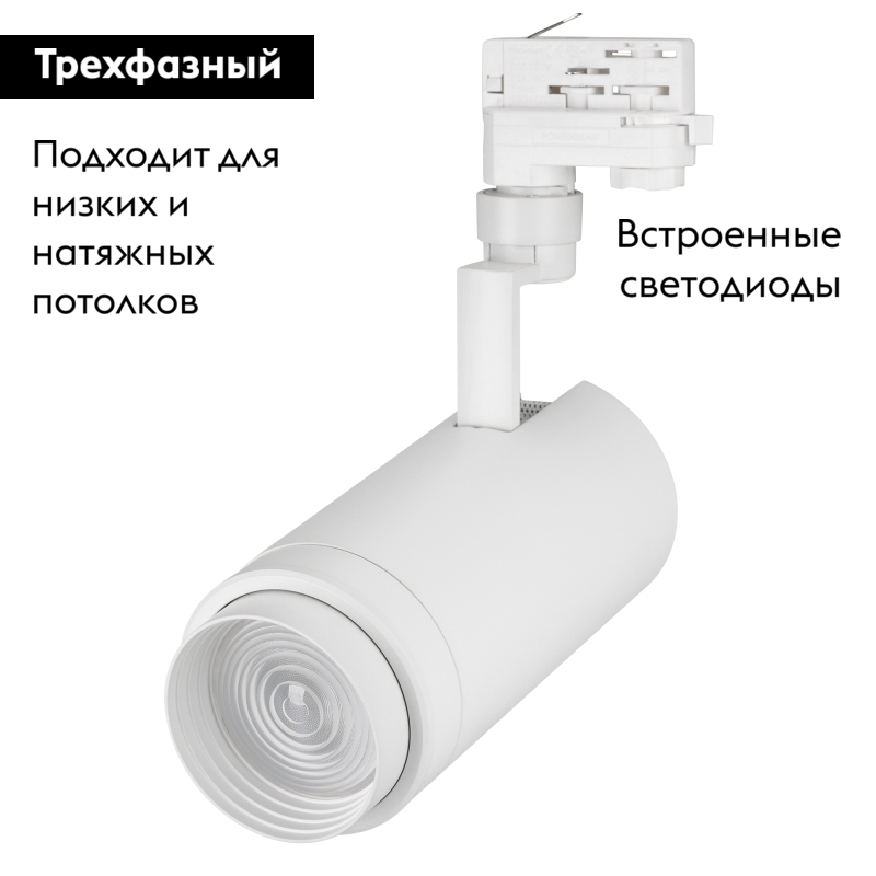 Трековый светильник Arlight LGD-Zeus-4TR-R100-30W Cool SP7500-Fish 029998