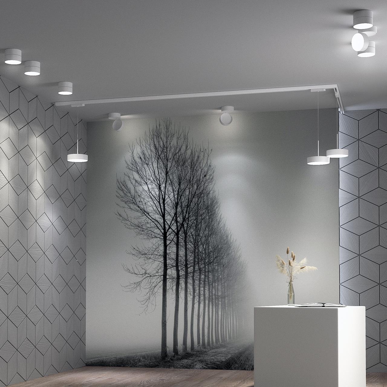 Трековый трехфазный светильник Novotech Prometa 358770