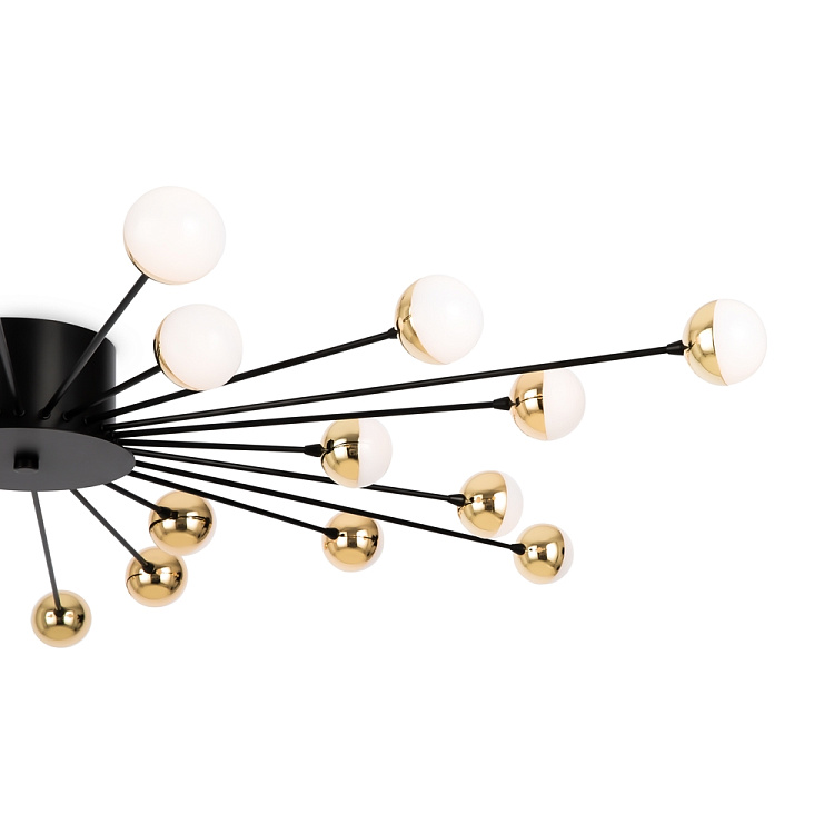 Потолочная светодиодная люстра Freya Celebrity FR5242CL-24B