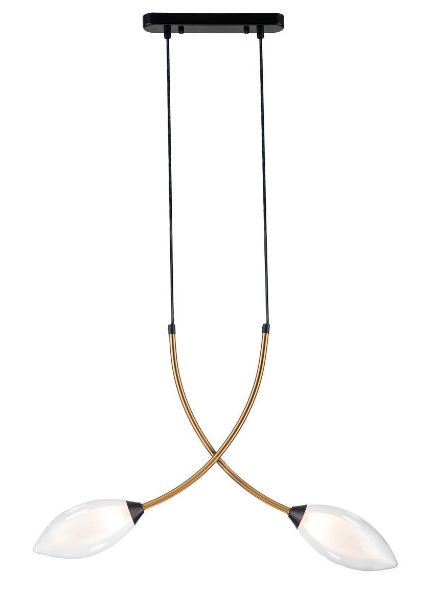 Подвесной светильник Indigo Fiore 13001/2P Black V000140