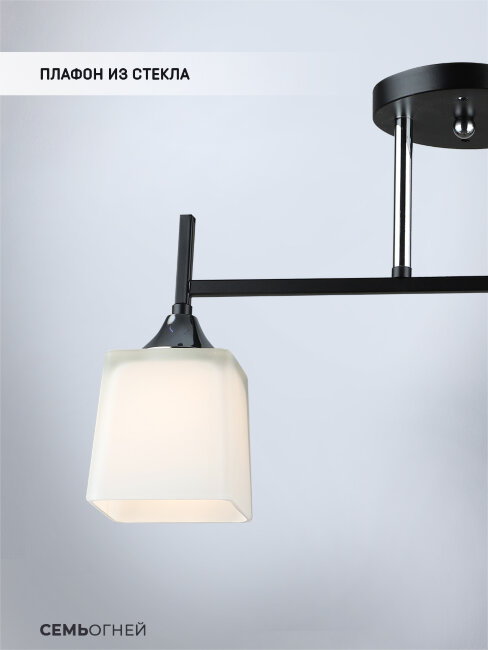 Потолочный светильник Wedo Light Semel WD3640/2C-BK-CR-WT