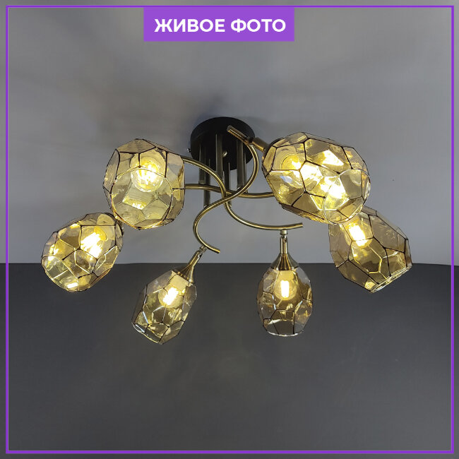 Потолочная люстра Wedo Light Elivera 66740.01.37.06