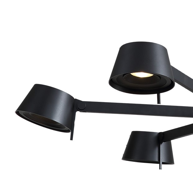 Люстра на штанге Delight Collection P0214-6A black